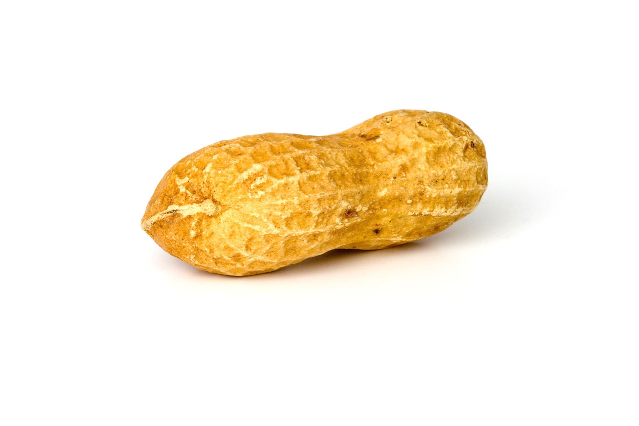 peanut nut